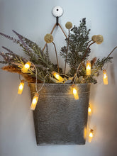 Load image into Gallery viewer, Message in a Bottle String Lights by Sophie&#39;s Joy